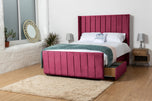 maroon-Plush-Valvet