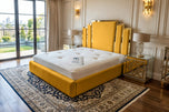 Mustard Plush Velvet