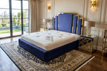 Royal Blue Plush Velvet
