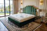 Emerald Plush Velvet