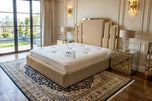 Beige Plush Velvet