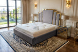 Grey Plush Velvet