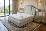 Seal Grey Naples