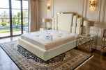 Cream Plush Velvet
