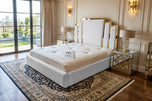White Plush Velvet