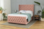 pink-plush-velvet