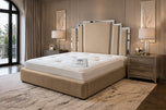 Beige Plush Velvet