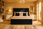 Black-plush-velvet