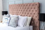 pink-plush-velvet