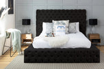 black-plush-velvet