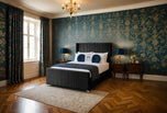 black-plush-velvet