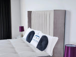 silver-plush-velvet