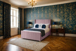 pink-plush-velvet