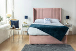 pink-plush-velvet
