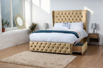 mink-plush-velvet
