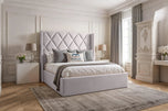 Silver-plush-velvet