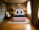 pink-plush-velvet