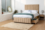 beige-plush-velvet