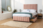 pink-plush-velvet