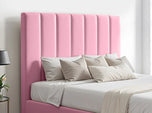 pink-plush-velvet