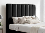black-plush-velvet