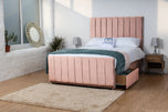 pink-plush-velvet