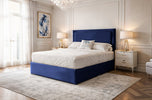 royal-blue-plush