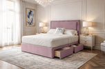 pink-plush