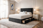 black-plush