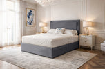 grey-plush