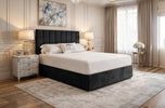 black-plush