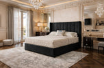 black-plush