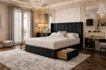 black-plush