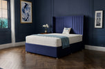 royal-blue-plush