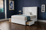 white-plush