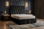 Black Plush Velvet