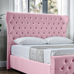 pink-plush-velvet