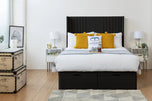 black-plush-velvet